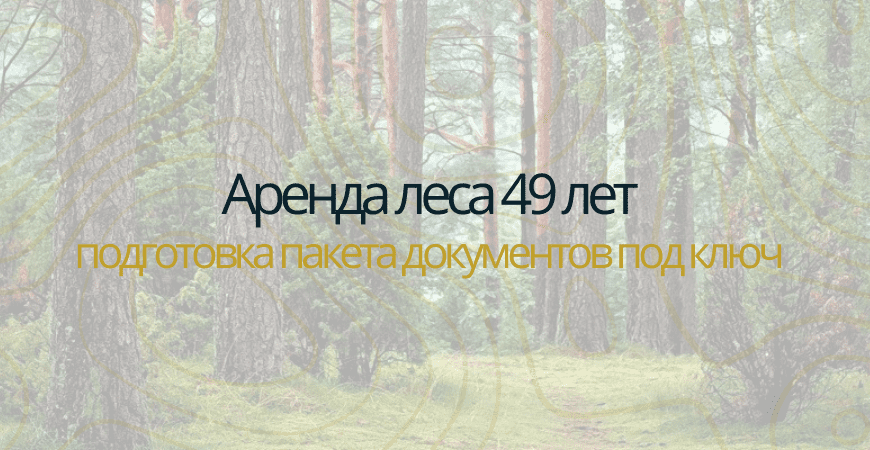 Аренда леса на 49 лет в Омске