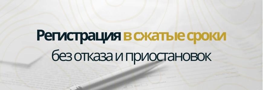 Регистрация в сжатые сроки под ключ в селе Новомосковка