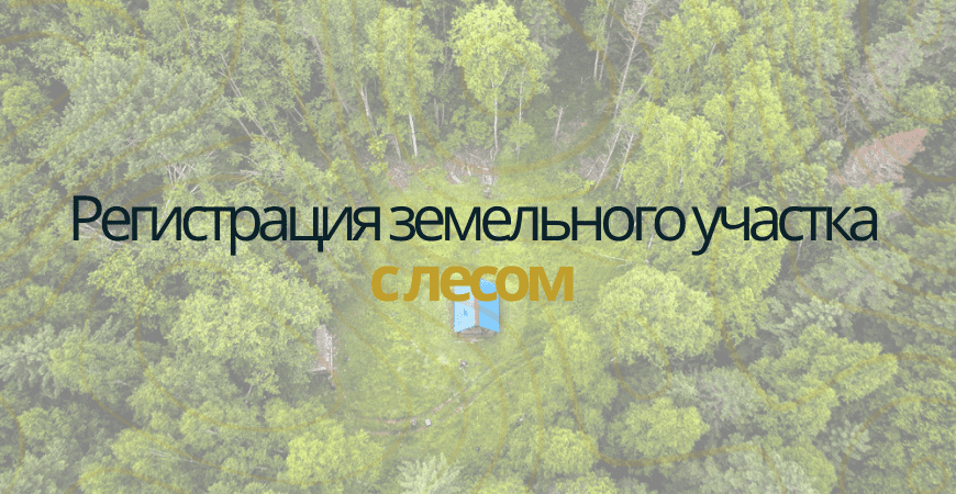 Земельный участок с лесом в Омске